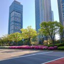 국제대로 이미지