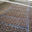 주왕산팬션민박 이미지