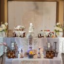 더파티스타 이미지