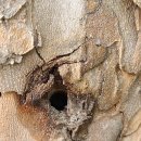 스타벅스 앞 이미지