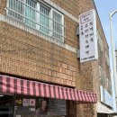 제주시 접짝뼈국 제주도민 맛집 닥그네할망 솔직후기