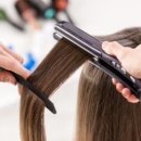 미용사자격증 이미지