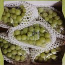 입장농협 산지유통센터 이미지