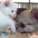 신제주동물약국 이미지