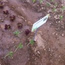 내곡동279 이미지