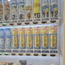 가로수주유소 | 이시가키공항 도착 오릭스 렌터카 공항 픽업 시내 반납 경차 주유구 꿀팁 내돈내산 솔직후기