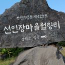 제주 대정 선인장마을 월령리... 이미지