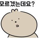 원모어짐 이미지