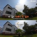 [TV 동물농장] 나에게는 특별한 눈이 있어요 이미지