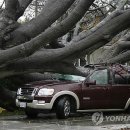 (주)거목시스템 이미지