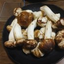 한우명가일번지 이미지