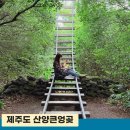 동광환승정류장 | 제주도 비오는날 산양큰엉곶 대중교통 으로 방문 제주서쪽 가볼만한곳