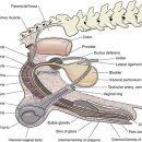 더클래스동물메디컬센터 이미지