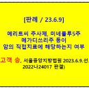 디쓰리주 이미지