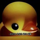 아프리크 이미지