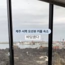 바당쿰다 이미지