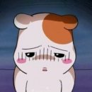 동서연합의원 이미지