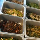 사랑펜션 이미지