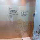 뷰티밸런스의원 네이버블로그