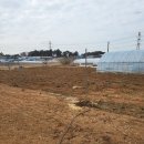 목화농원 이미지