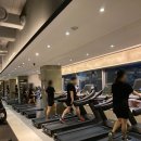 베스트 피트니스 네이버블로그