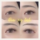 상남동137 이미지