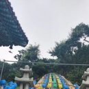 보문사 - 1701 | 보문사