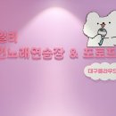 데일리 코인노래연습장 이미지