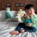 엘림햇살 이미지