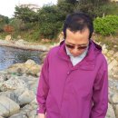 진하리조트 이미지