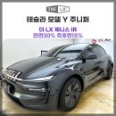 제니스오토 | 테슬라 모델y쥬니퍼 THE LX 제니스ir 전면30% 측후먄15%오토썬쉐이드 창원 수입차 신차패키지 전문[디아트]