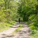 수산리-1 이미지