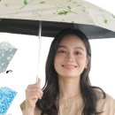 플랜티플라워
