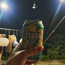 어게인캠핑B | 용인 자연숲 캠핑장 B7번 사이트 나름 캠린이시절 마미랑 초가을 캠핑 추억이 방울방울 듀랑고에어미니...