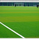 수안보생활체육공원 이미지