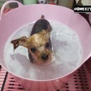 예뻐지개 이미지