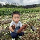 산본어린이집 이미지