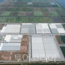 인계수정(아) 이미지