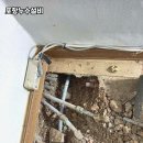 포항패킹
