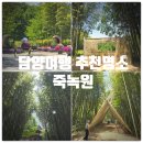 죽녹원게임랜드 | 담양여행 추천코스 『 죽녹원 』 방문후기 (Feat. 대나무 성장속도, 죽순 많이 나는 시기)