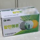 선이네과일 - 창원시 진해구 여좌로 75 | 선이네과일