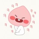 해피댕댕이 네이버블로그