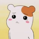 보고파 Daum카페