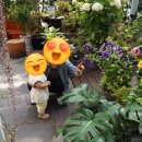 카페모네2호점 이미지