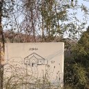 대구 야외웨딩 프리아웨딩 하객 후기 로맨틱했던 토요일 저녁 6시 결혼식