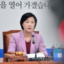 "땅 사용권 인민에게…" 추미애 `토지공개념` 파문 이미지