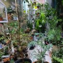 화백농장 이미지