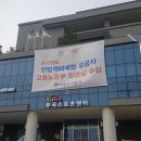 부곡시장길 이미지