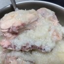 오리본가 이미지