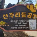 선주리들공원 이미지